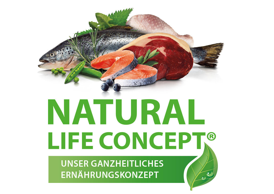 Ganzheitliches Ernährungskonzept für Katzen mit Fleisch und Fisch