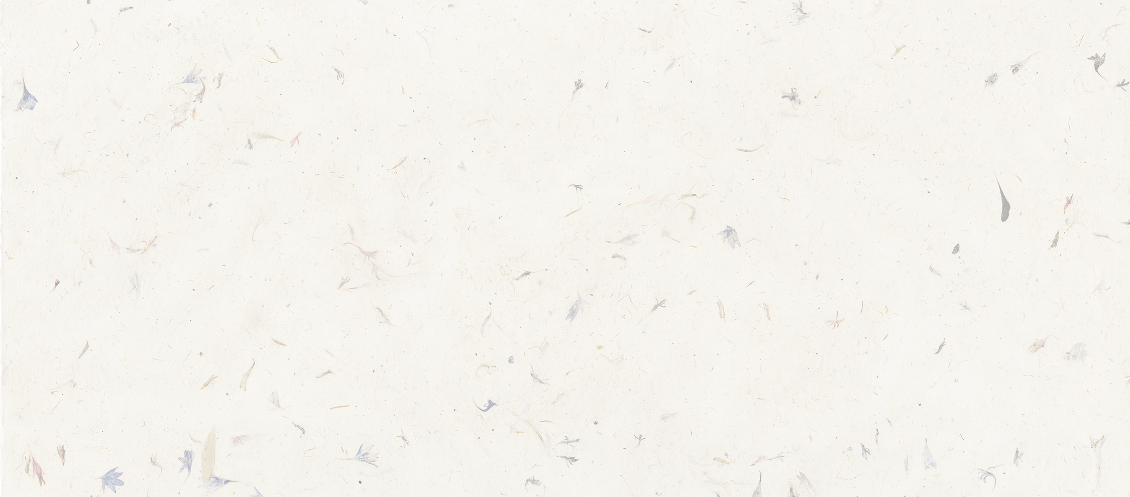 Voller Beutel - halber Preis