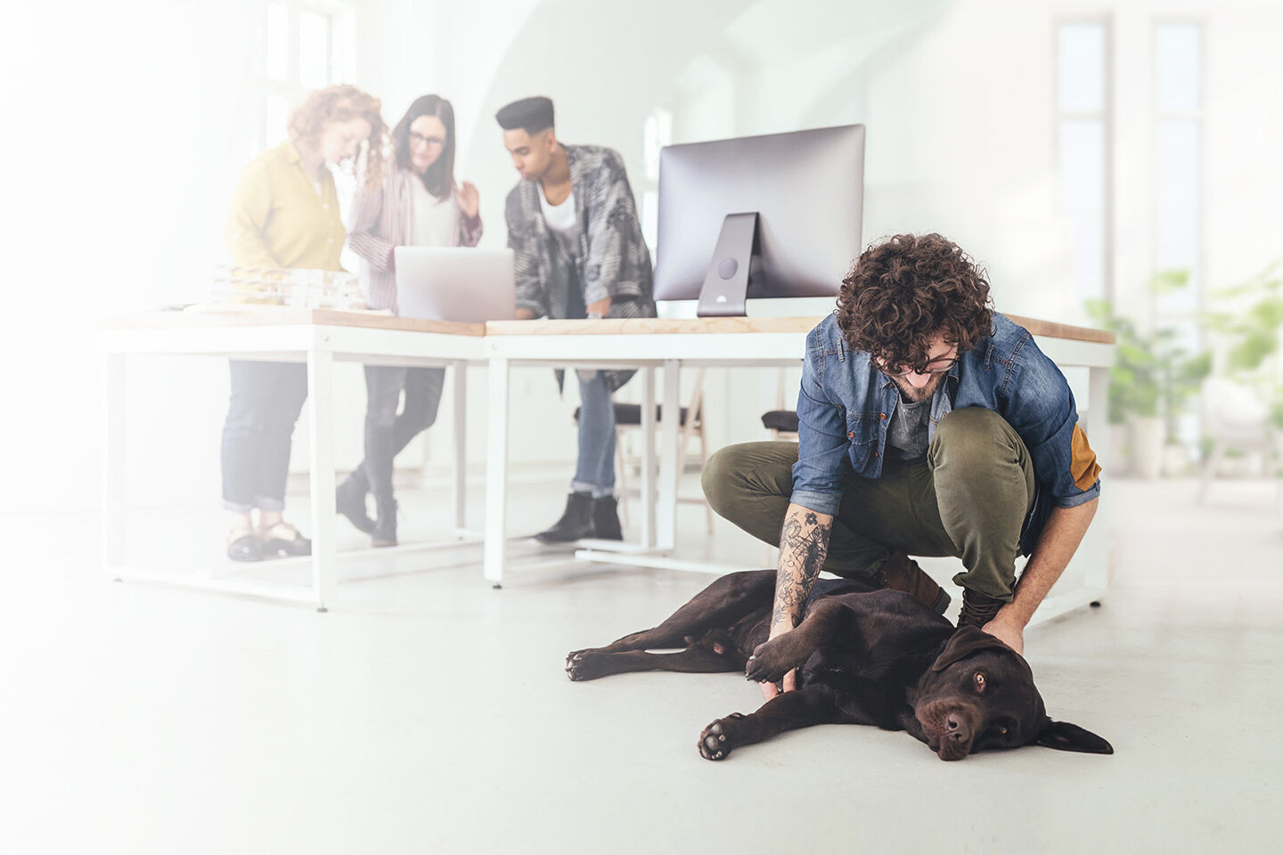 Ein Kollege streichelt einen Hund, der am Boden liegt, während die anderen Kollegen ein Meeting abhalten.