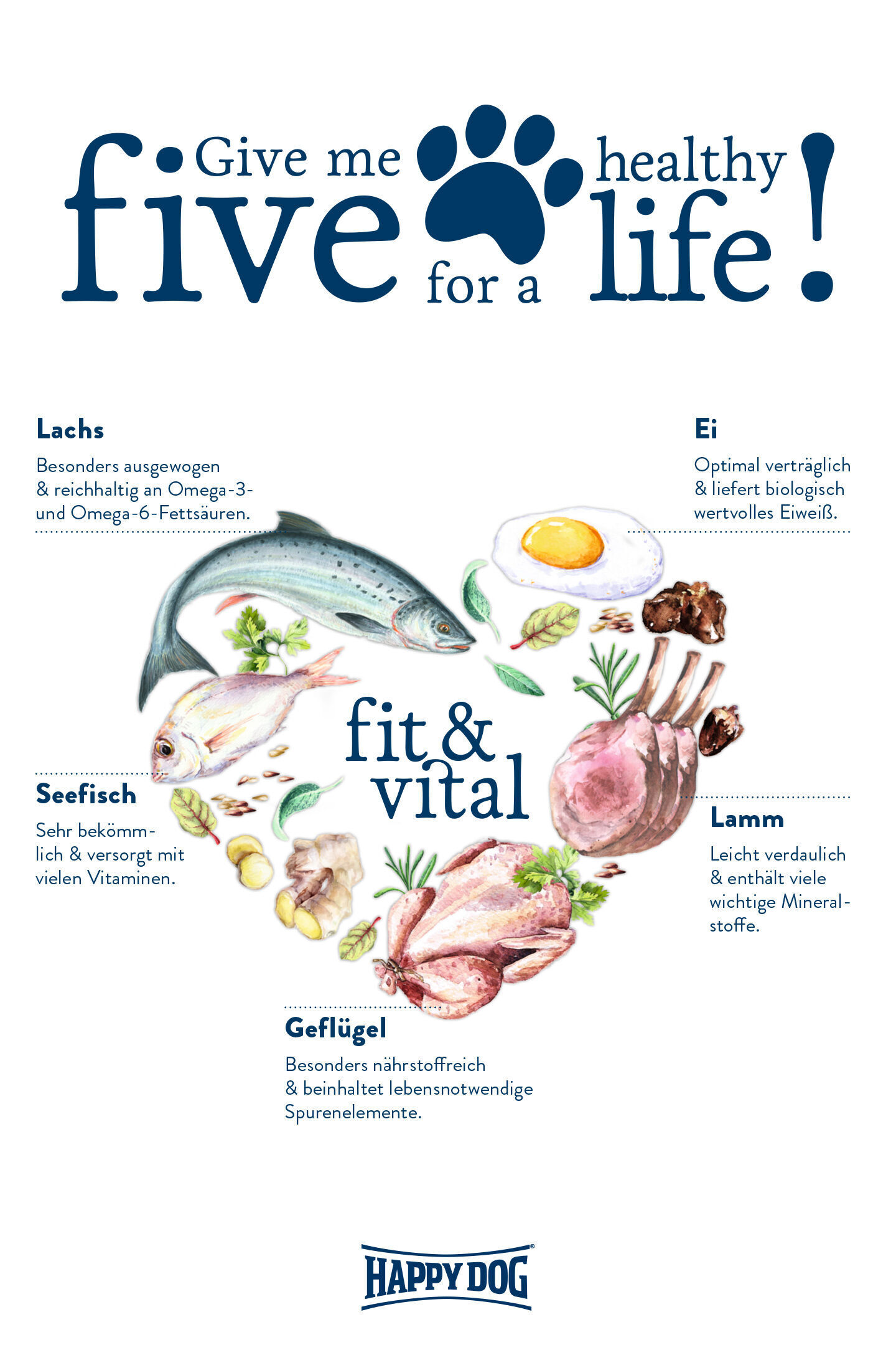 Auf weißem Hintergrund Text und Illustrationen: "Give me five for a healthy life!", verschiedene Zutaten und deren Vorteile. Unten: Happydog-Logo.