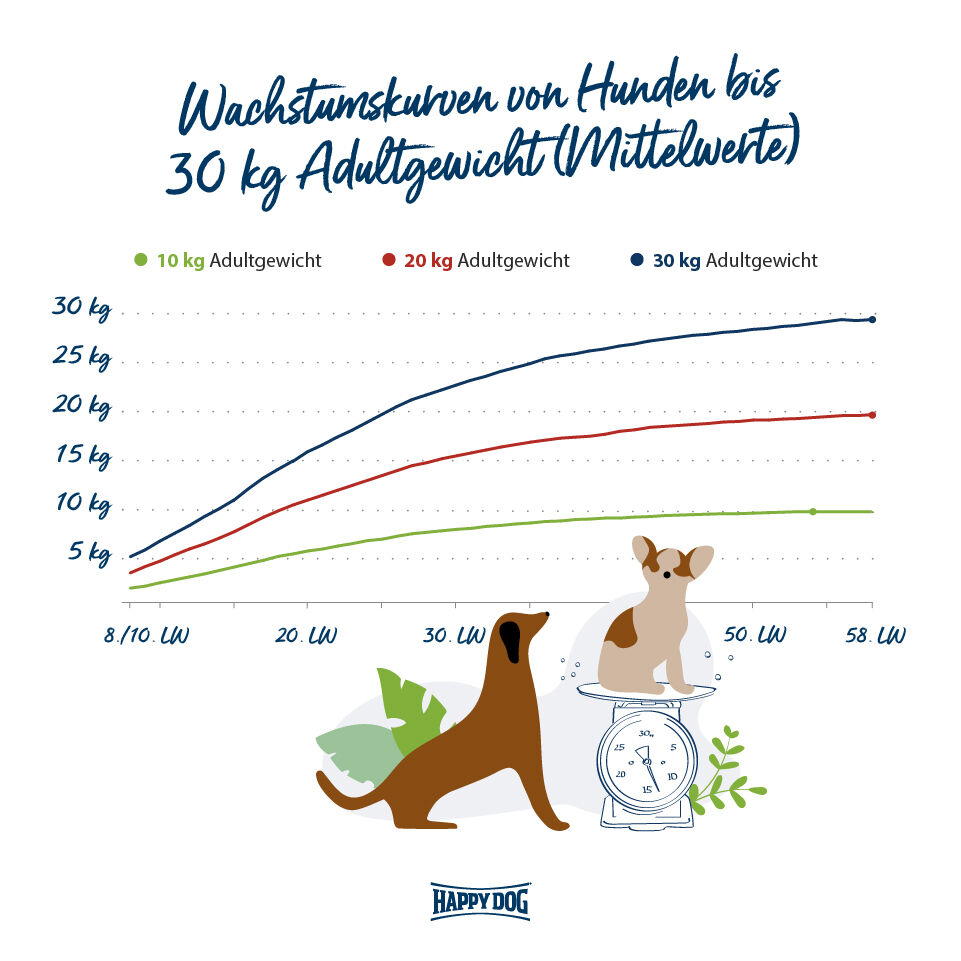 Grafik zu den Wachstumskurven von Hunden bis 30 kg