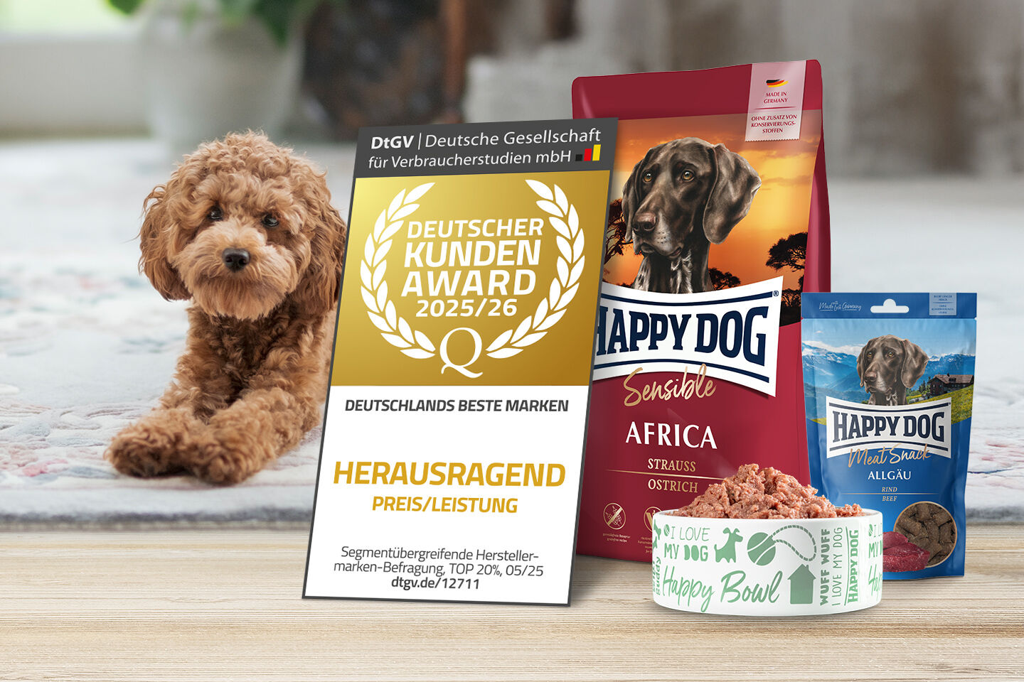 Ein kleiner brauner Pudel liegt hinter einem Napf mit Nassfutter, einer Packung Trockenfutter sowie Snacks von Happy Dog