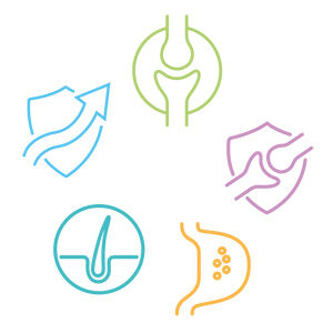 Icon verschiedener Vitalstoffe der Ernährung.