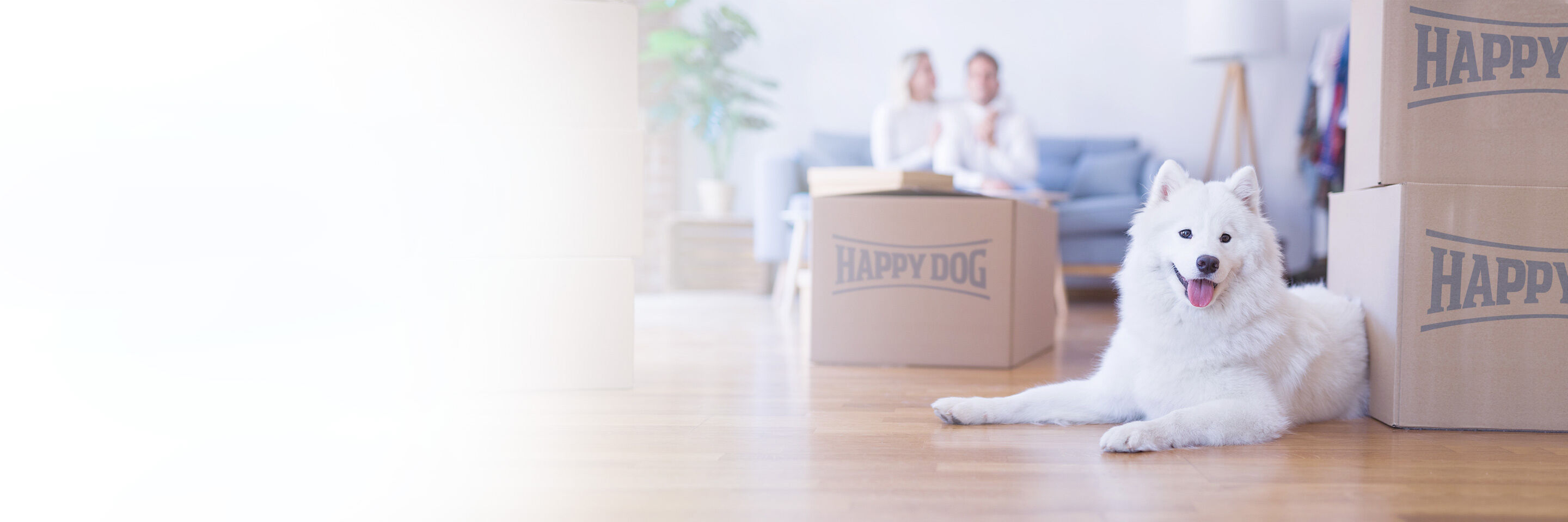 Ein weißer Hund liegt entspannt auf einem Holzboden neben mehreren Kartons mit der Aufschrift "Happy Dog". Im Hintergrund sind zwei unscharf dargestellte Personen auf einem Sofa erkennbar.