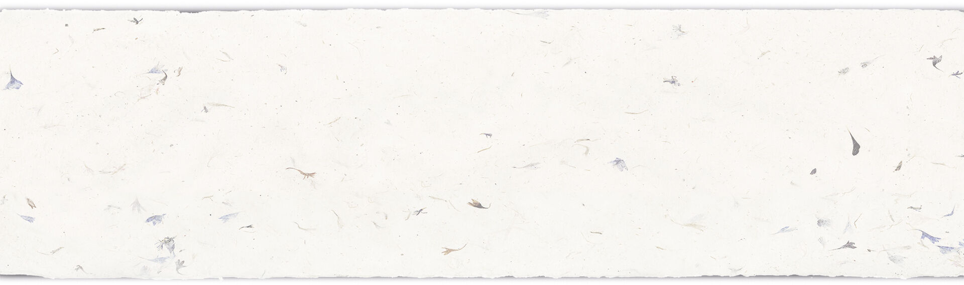 Papier mit Blüten, welches als Hintergrund verwendet werden kann.