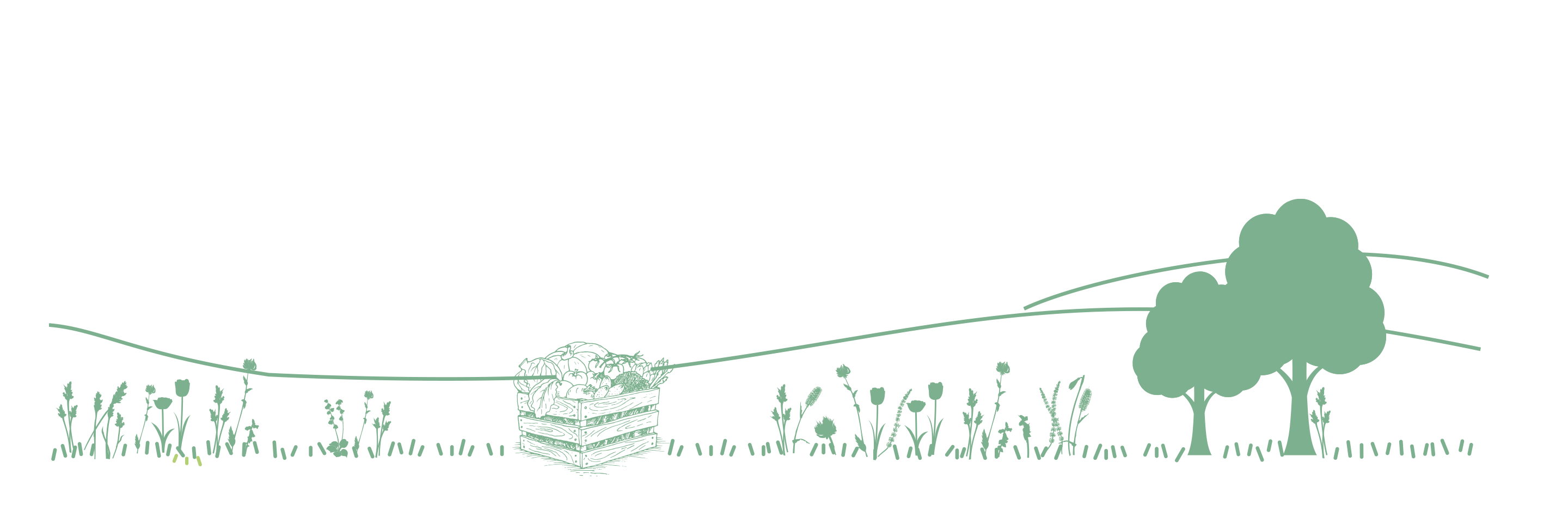 Eine Gemüsekiste steht auf einer Blumenwiese neben zwei Bäumen. Im Hintergrund sind Grashügel abgebildet.