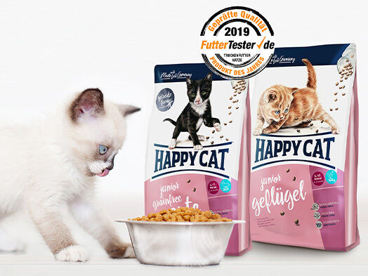 Babykatze vor Trockenfutternapf sowie zwei Packungen Happy Cat Kittenfutter