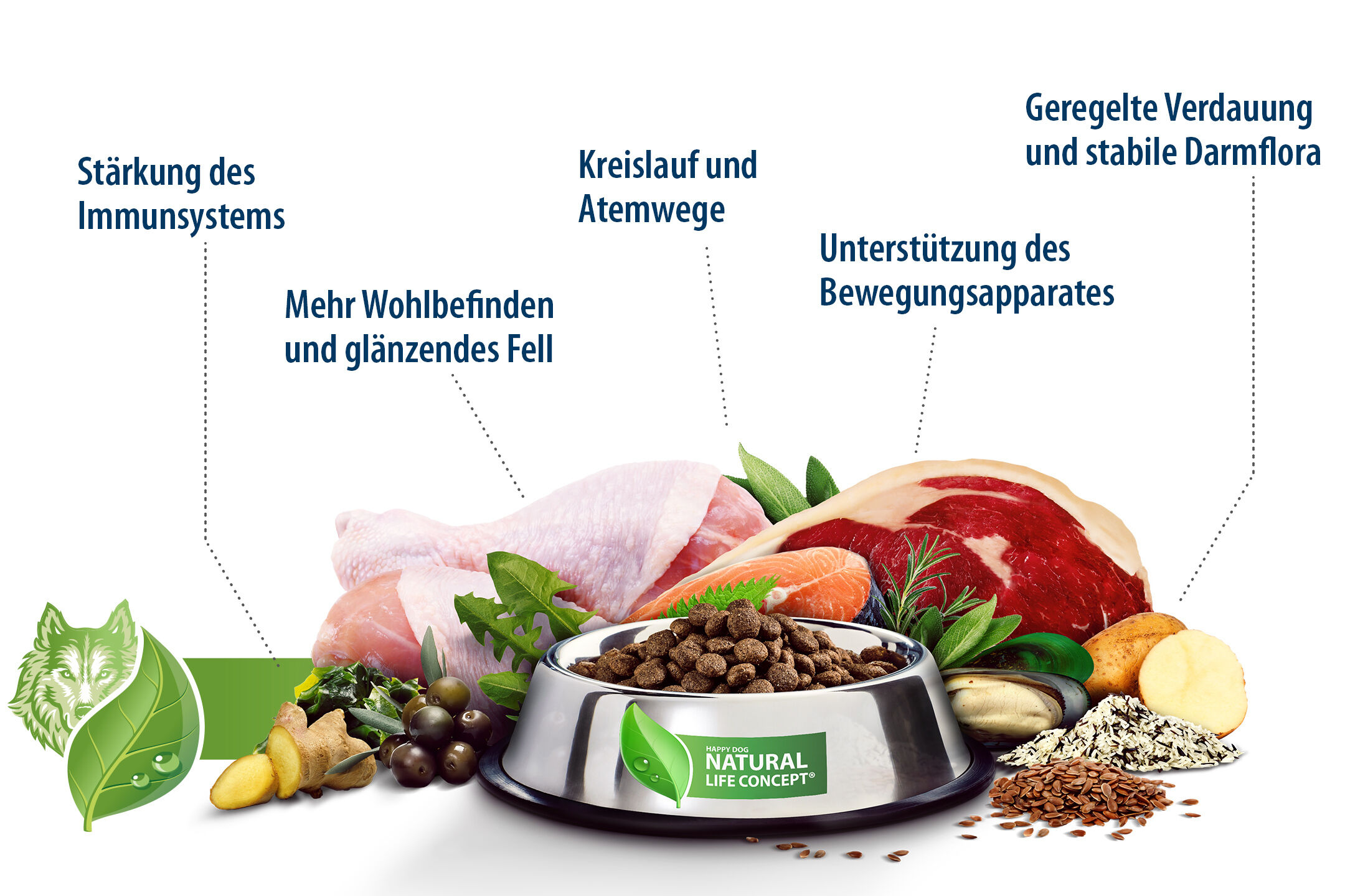 Schüssel voll Heimtierfutter vor Zutaten wie Fleisch, Gemüse und Samen, umgeben von Text über gesundheitliche Vorteile: Stärkung Immunsystem, Verdauung, Wohlbefinden, Bewegungsapparat. Happydog Natural Life Concept.