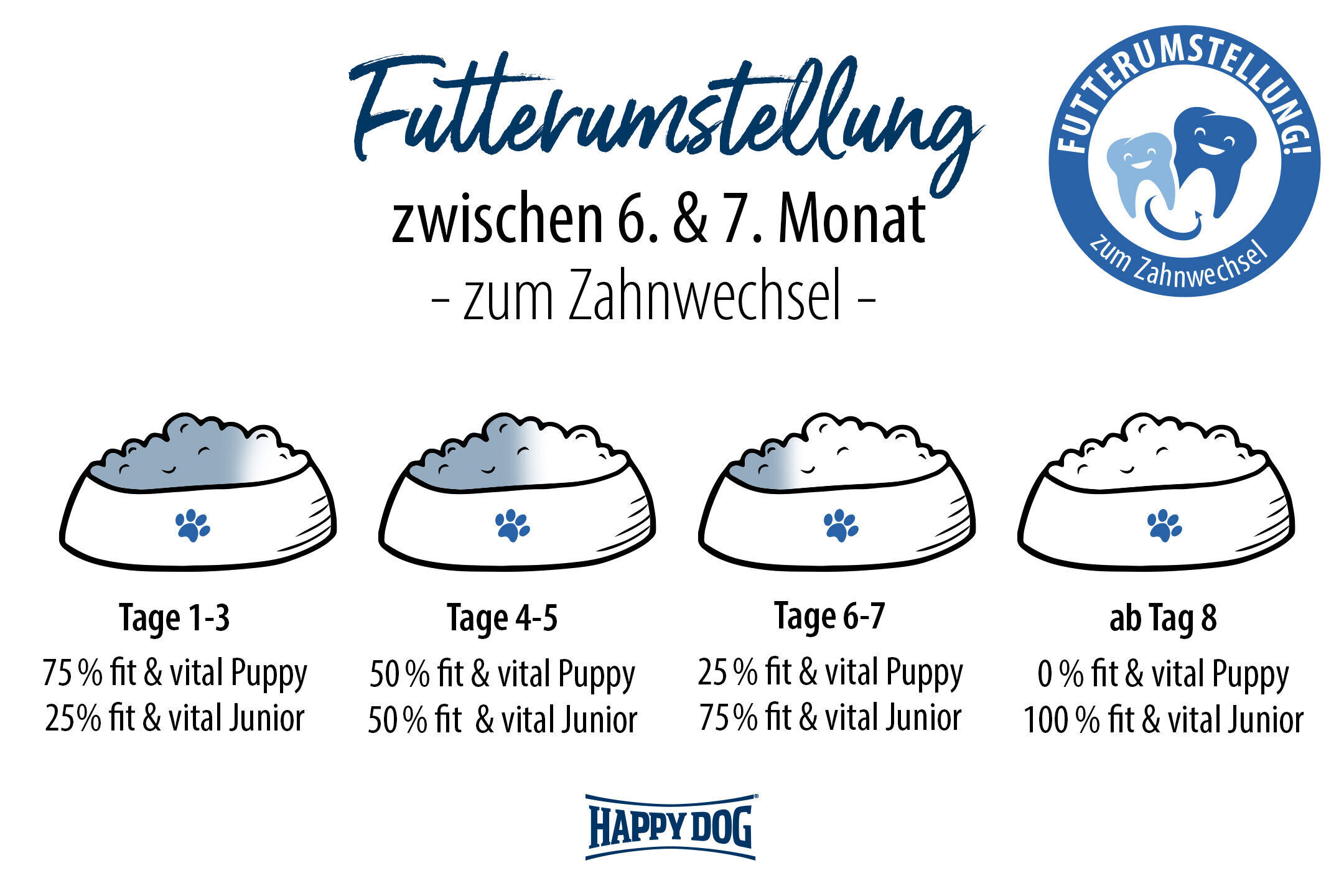Vier Futternäpfe zeigen schrittweise Futterumstellung bei Hunden 6.-7. Monat. Text zu „fit & vital Puppy“ und „fit & vital Junior“ mit Prozentangaben: Tage 1-3 (75%/25%), Tage 4-5 (50%/50%), Tage 6-7 (25%/75%), ab Tag 8 (0%/100%).