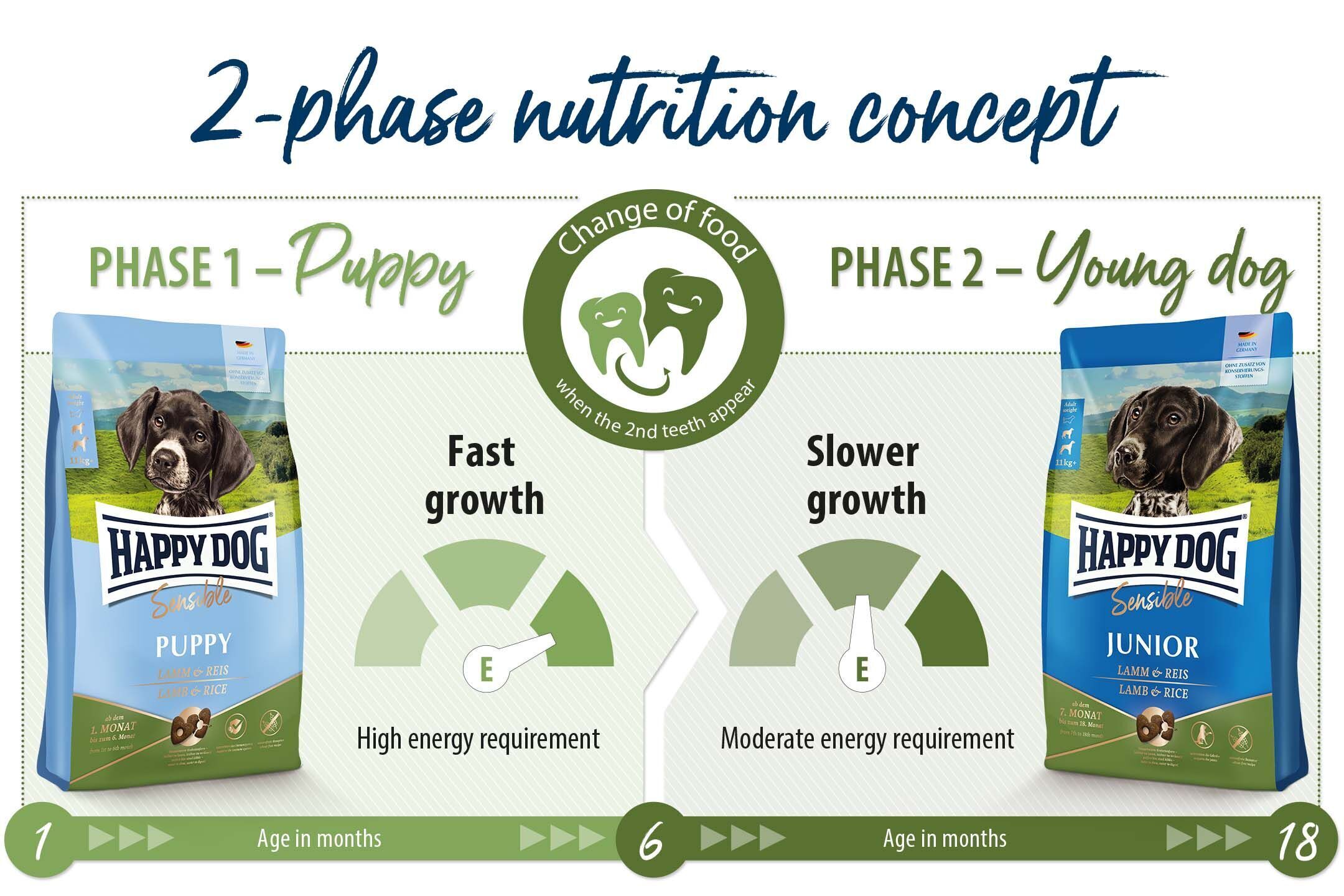 Hundefutterverpackungen zeigen 2-Phasen-Ernährungskonzept: Phase 1 – schnelles Wachstum, hoher Energiebedarf; Phase 2 – langsameres Wachstum, moderater Bedarf. Text: „Change of food when the 2nd teeth appear“. Altersangabe: 1, 6, 18 Monate.