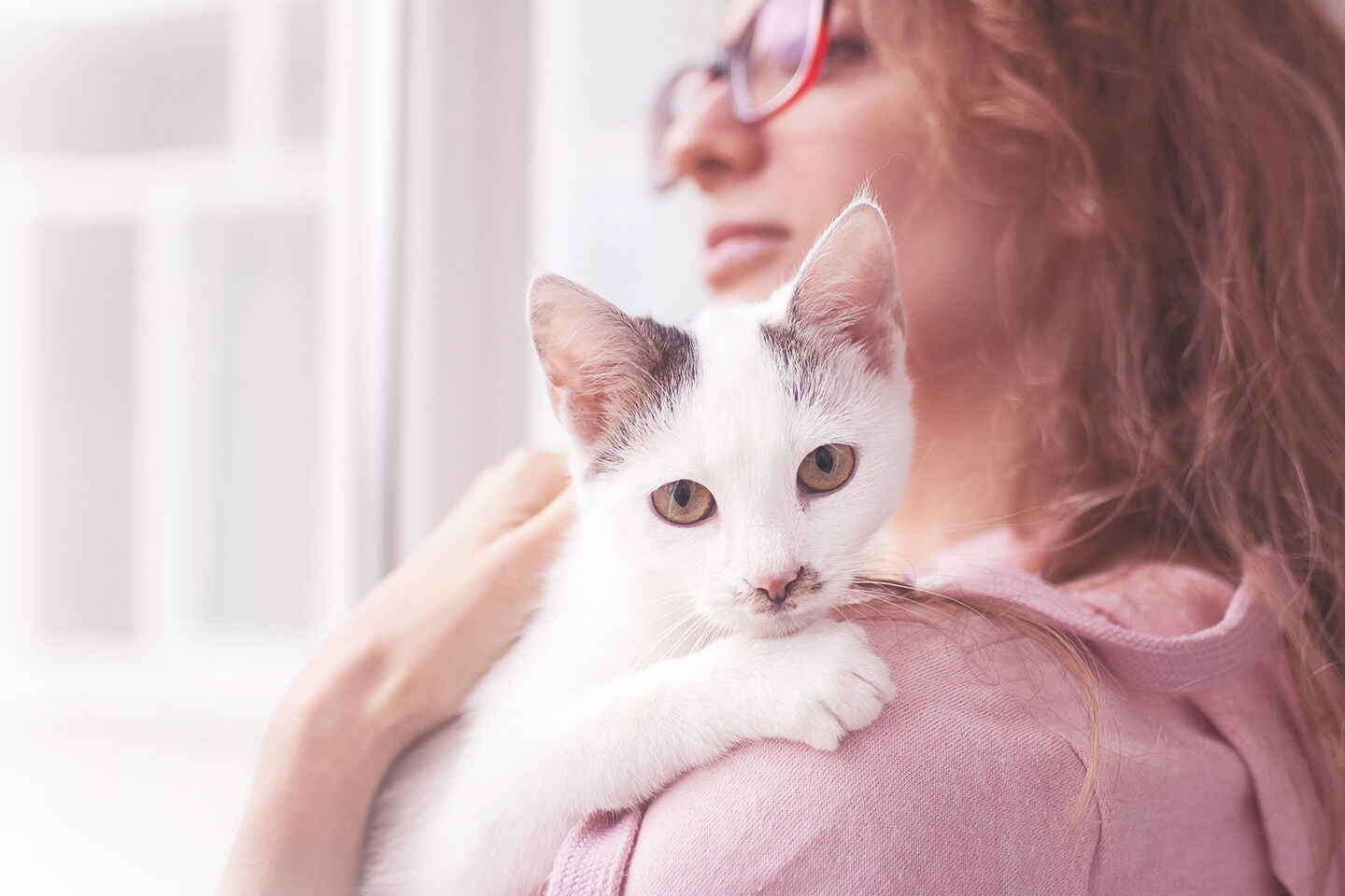 Kleine weiße Katze auf dem Arm einer Frau, die am Fenster steht und hinausblickt.