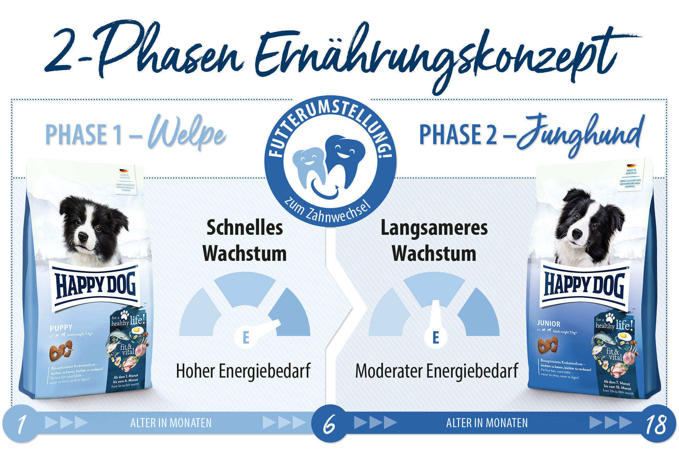 Grafik zeigt ein 2-Phasen Ernährungskonzept für Hunde: Phase 1, Welpe, schnelles Wachstum, hoher Energiebedarf; Phase 2, Junghund, langsameres Wachstum, moderater Energiebedarf. Marke Happy Dog.