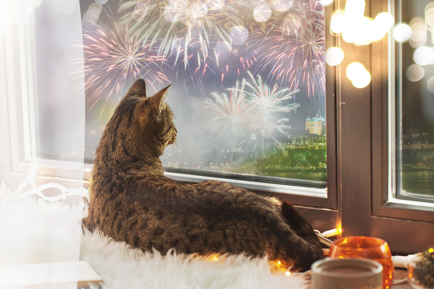 Katze liegt auf einem weichen, weißen Stoff, schaut aus einem Fenster auf farbenfrohes Feuerwerk am Nachthimmel. Warmes Licht und Kerzen im Hintergrund.