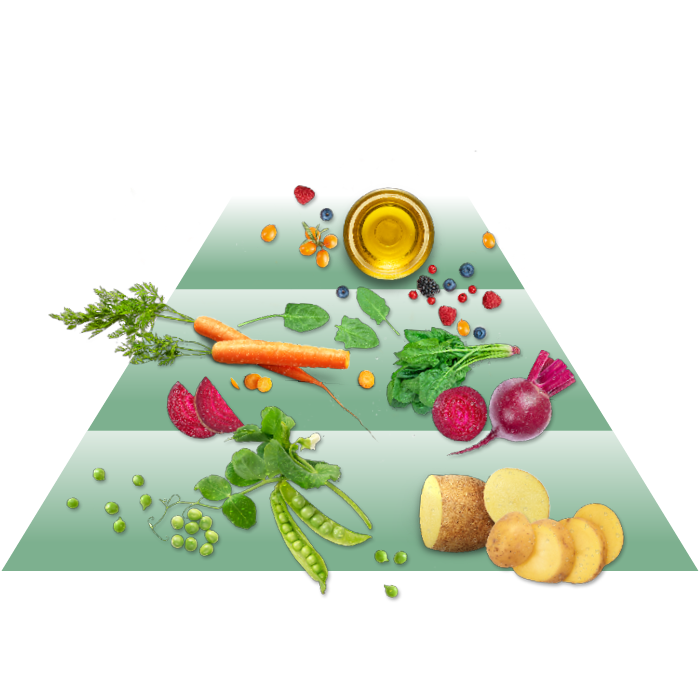 Gemüse und Früchte liegen auf einer symbolischen Pyramide. Oben befindet sich Öl in einer Schale. Die Darstellung könnte Zutaten oder eine Nahrungsvielfalt visualisieren.