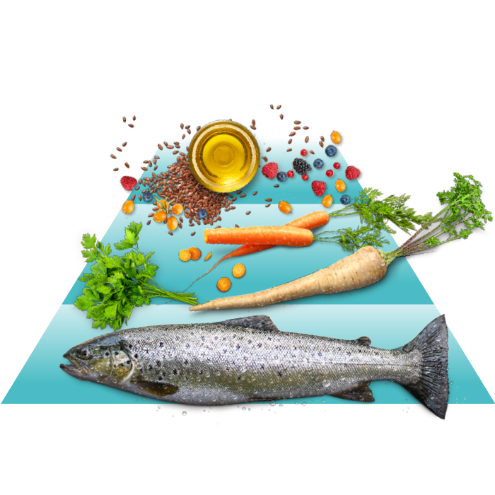 Eine Pyramide mit Fisch, Gemüse und Ölen wird dargestellt.