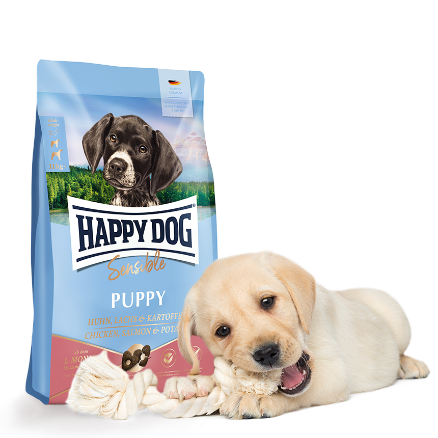 Ein Welpe kaut spielerisch auf einem Seil, neben einer Packung "Happy Dog Sensible" Hundefutter für Welpen mit Huhn, Lachs und Kartoffeln.