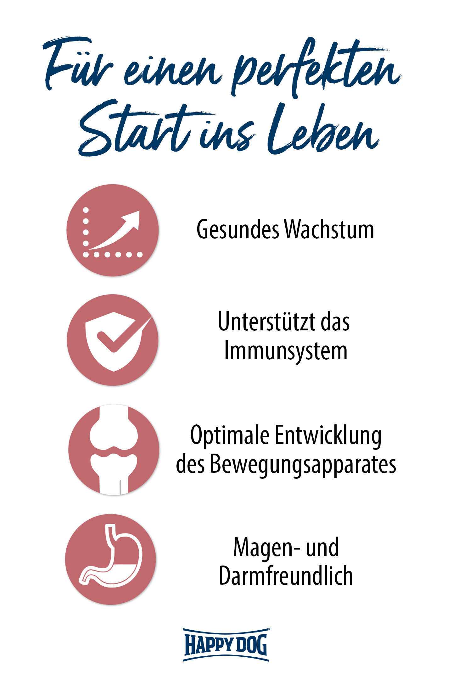 Text zeigt Vorteile des „Happydog“-Hundefutters: Gesundes Wachstum, Immunsystemunterstützung, Bewegungsapparatentwicklung, magendarmfreundlich. Oben steht „Für einen perfekten Start ins Leben“.