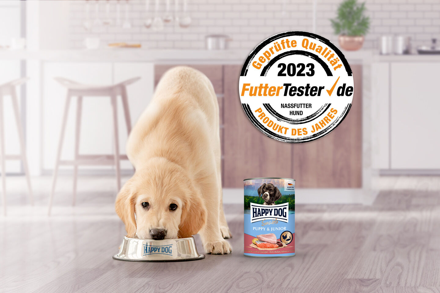 Ein Golden Retriever Welpe frisst Welpen-Nassfutter