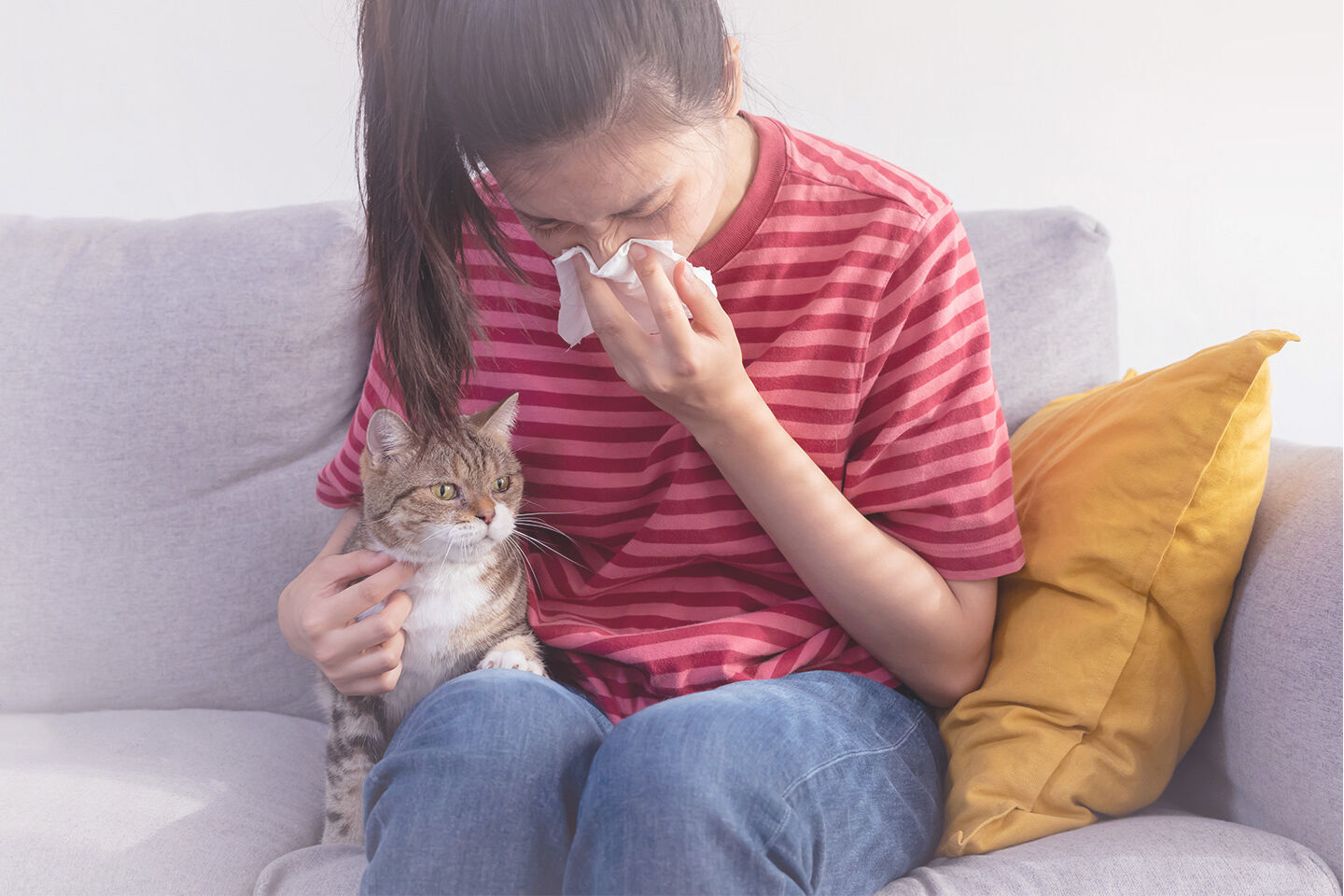 Mädchen sitzt neben einer Katze auf der Couch und muss nießen.