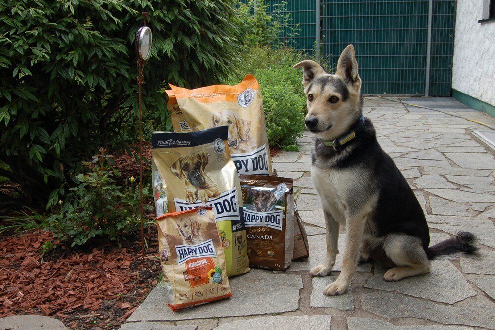 Tierheimhund sitzt neben einer Futterspende von Happy Dog