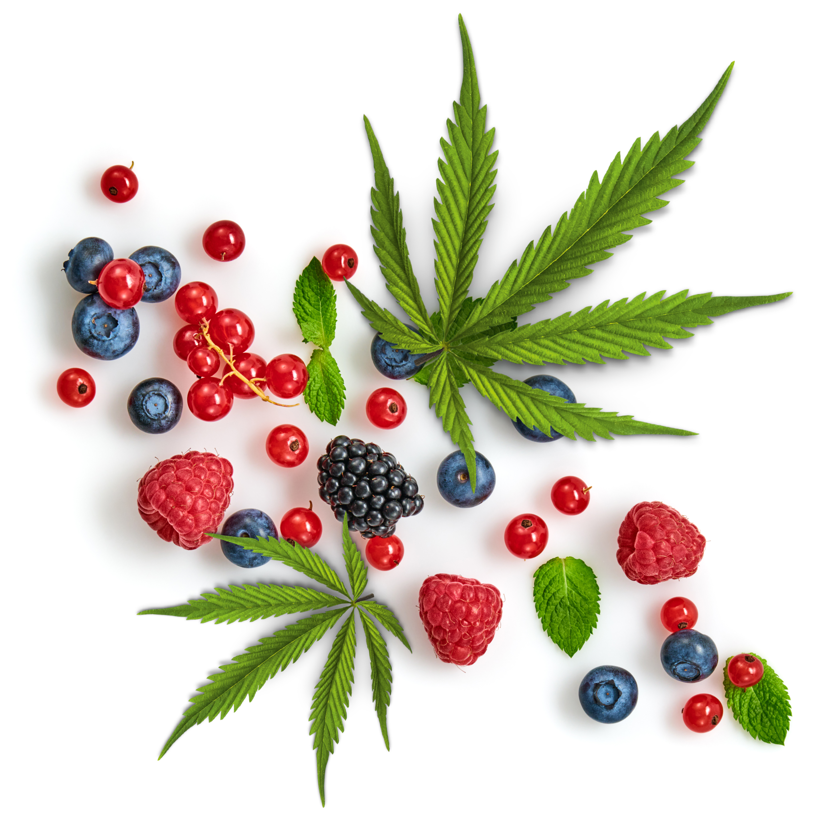 Verschiedene Beeren liegen neben Hanfblätter.