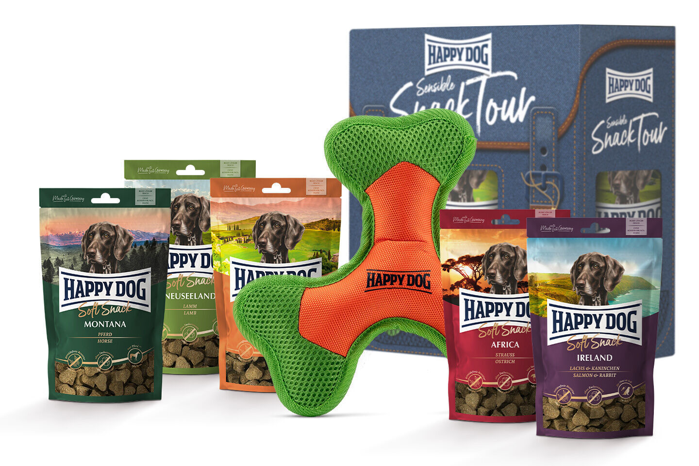 Sensible Snack Tour Box