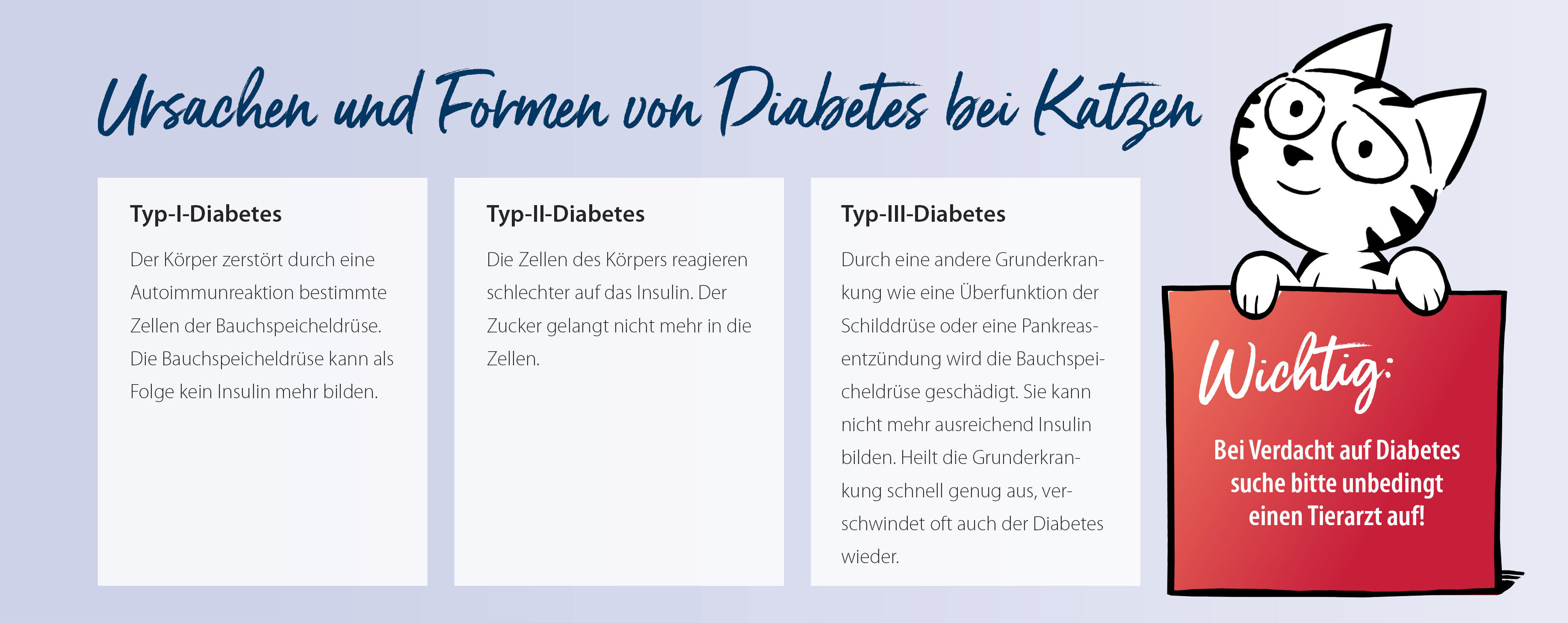 Übersicht der verschiedenen Formen von Diabetes bei Katzen