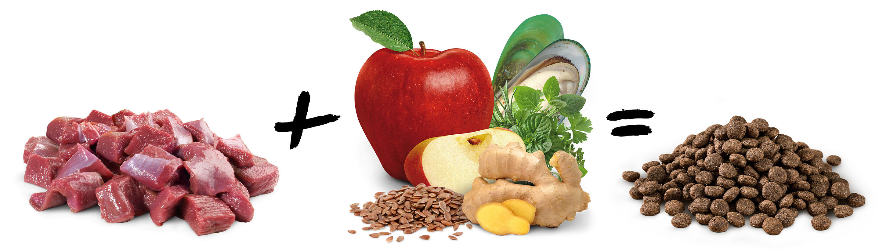Rohes Fleisch sowie Apfel, Ingwer, Leinsamen, Kräuter und Grünlippmuschel ergeben zusammen die Zutaten für gesundes Hundetrockenfutter.
