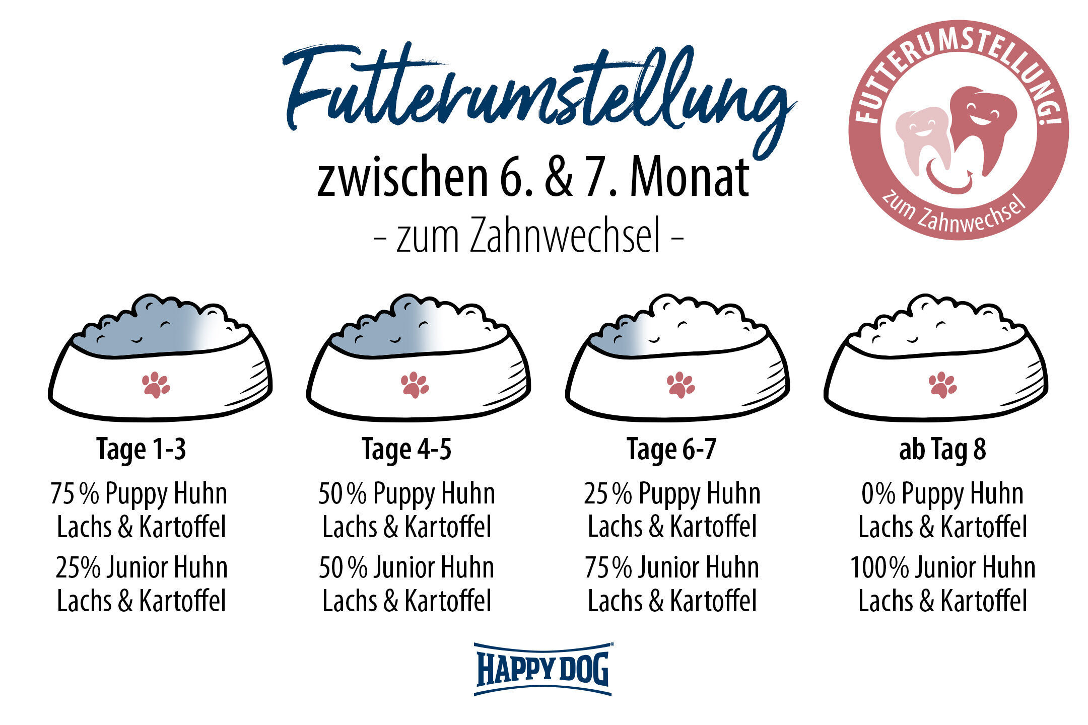 Vier Futterschalen zeigen Prozentsätze für die Umstellung von Puppy- zu Juniorfutter in Wochen für Hunde. Marke Happydog unten. Text: „Futterumstellung zwischen 6. und 7. Monat - zum Zahnwechsel.“