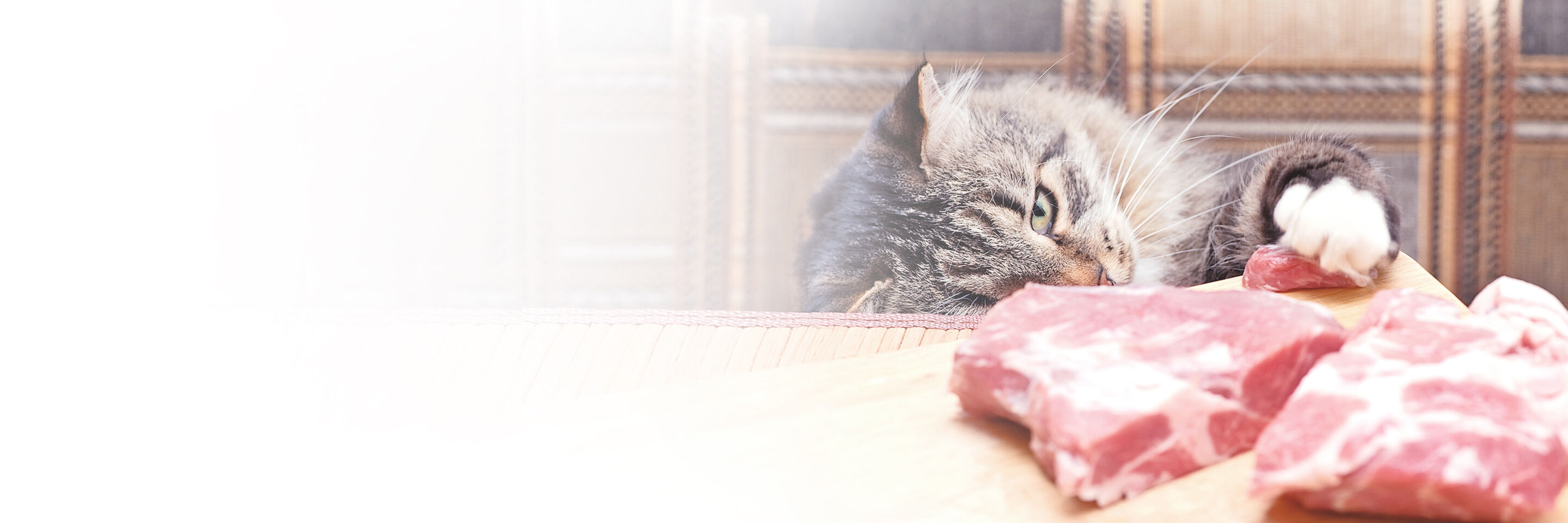 Frisches rohes Fleisch liegt auf dem Tisch und eine Katze nähert sich vorsichtig dem Fleisch mit ihrer Tatze