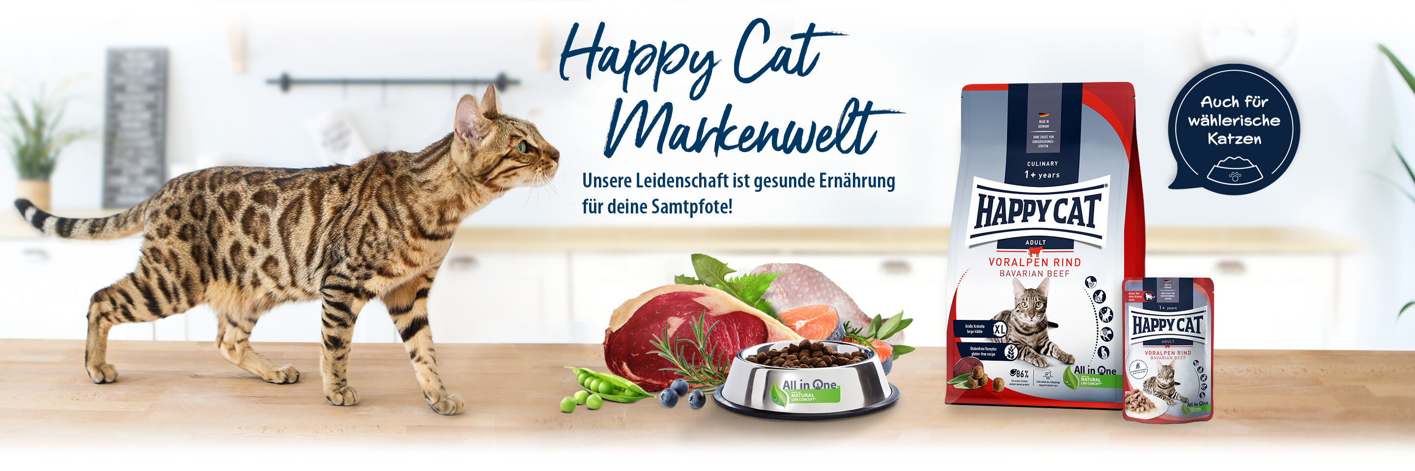 Bengal schnuppert neugierig an Happy Cat Futter