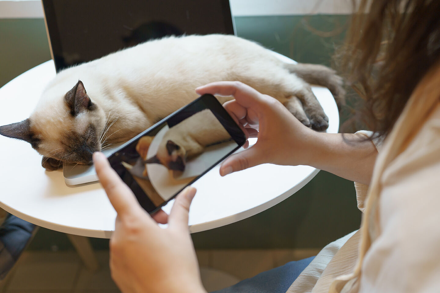 Eine Frau filmt eine Katze mit Epilepsie