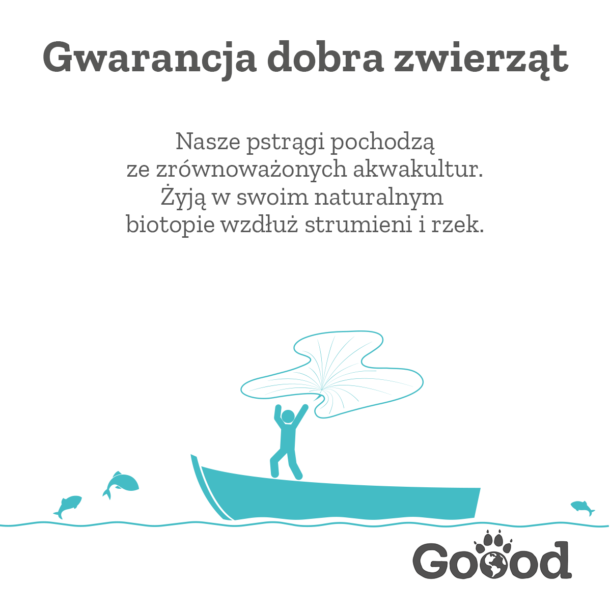 Fischer steht auf einem Boot und hält ein Netz; Text in Polnisch beschreibt nachhaltige Herkunft und natürlichen Lebensraum von Forellen. Logo „Goood“ unten rechts.