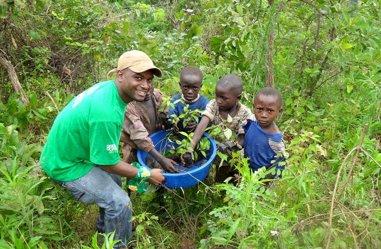 Kleinbauern forsten einen Wald in Uganda auf