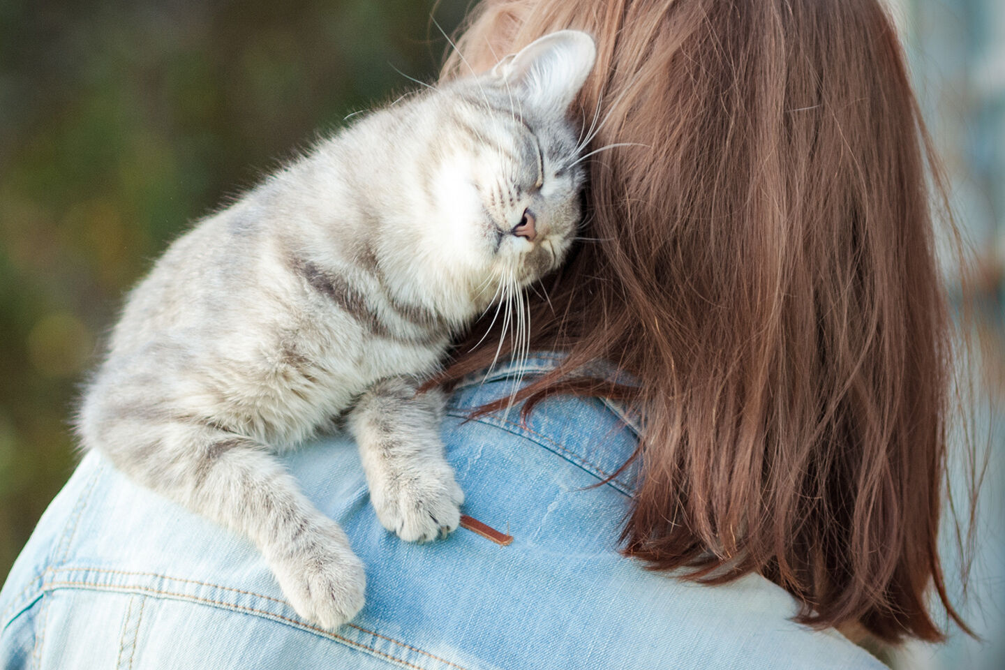 Katze - schmiegt sich an Schulter - Frau in Jeansjacke steht im Freien, Katze wirkt entspannt und zufrieden.