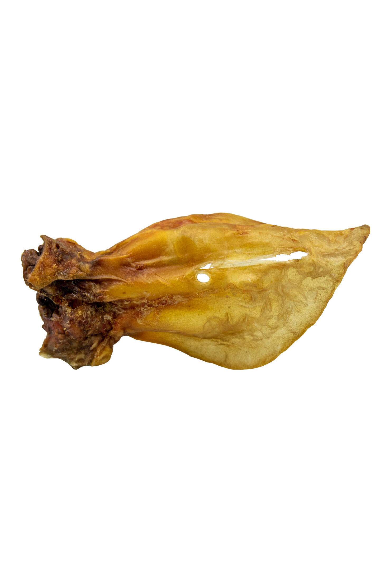 Großes, getrocknetes Schweineohr, detailreich fotografiert, liegt auf weißem Hintergrund. Präsentiert als Kausnack für Hunde. Keine Marke Happydog ersichtlich.