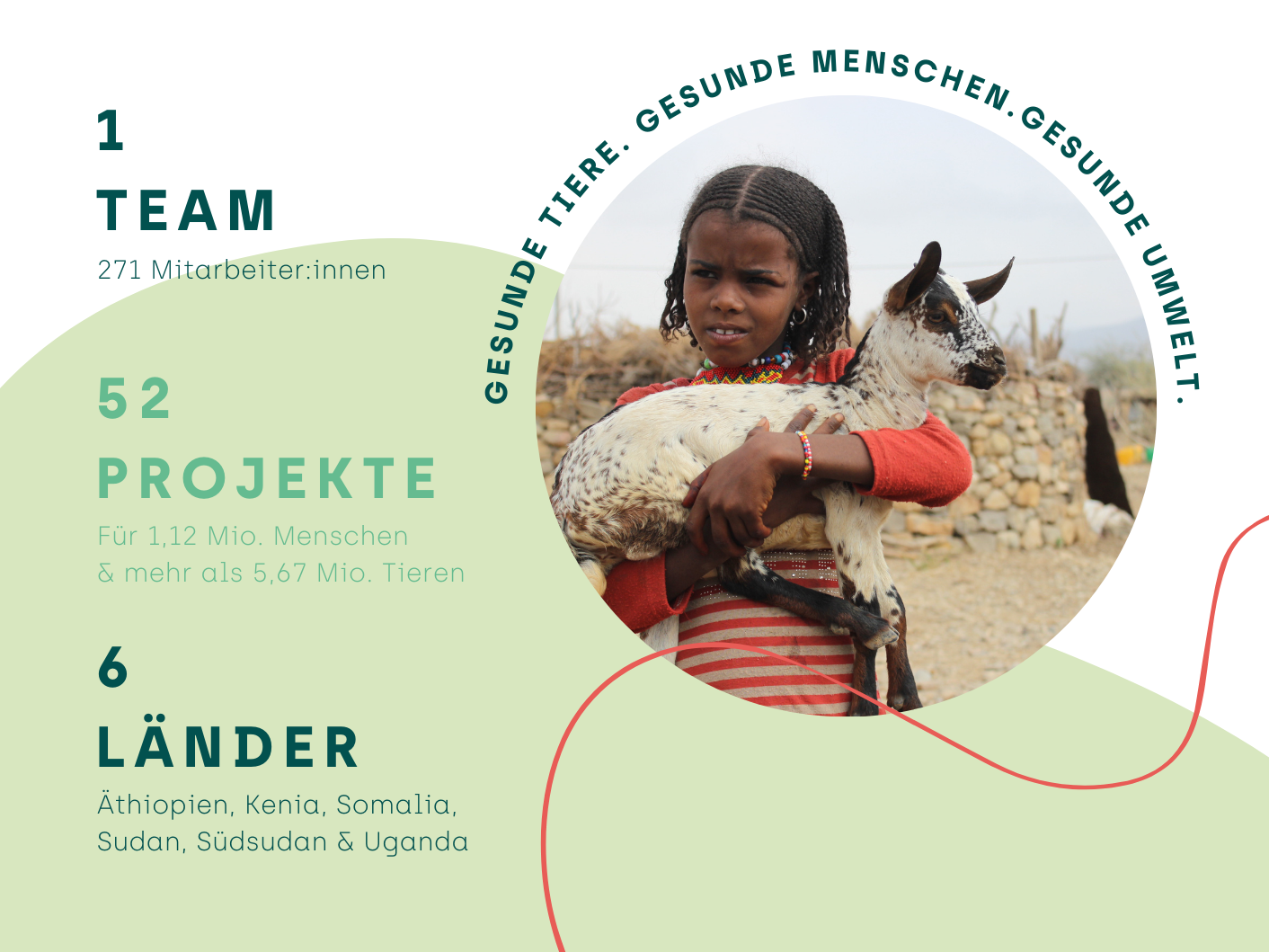 Übersicht über die Unternehmensdaten der Organisation Tierärzte ohne Grenzen.