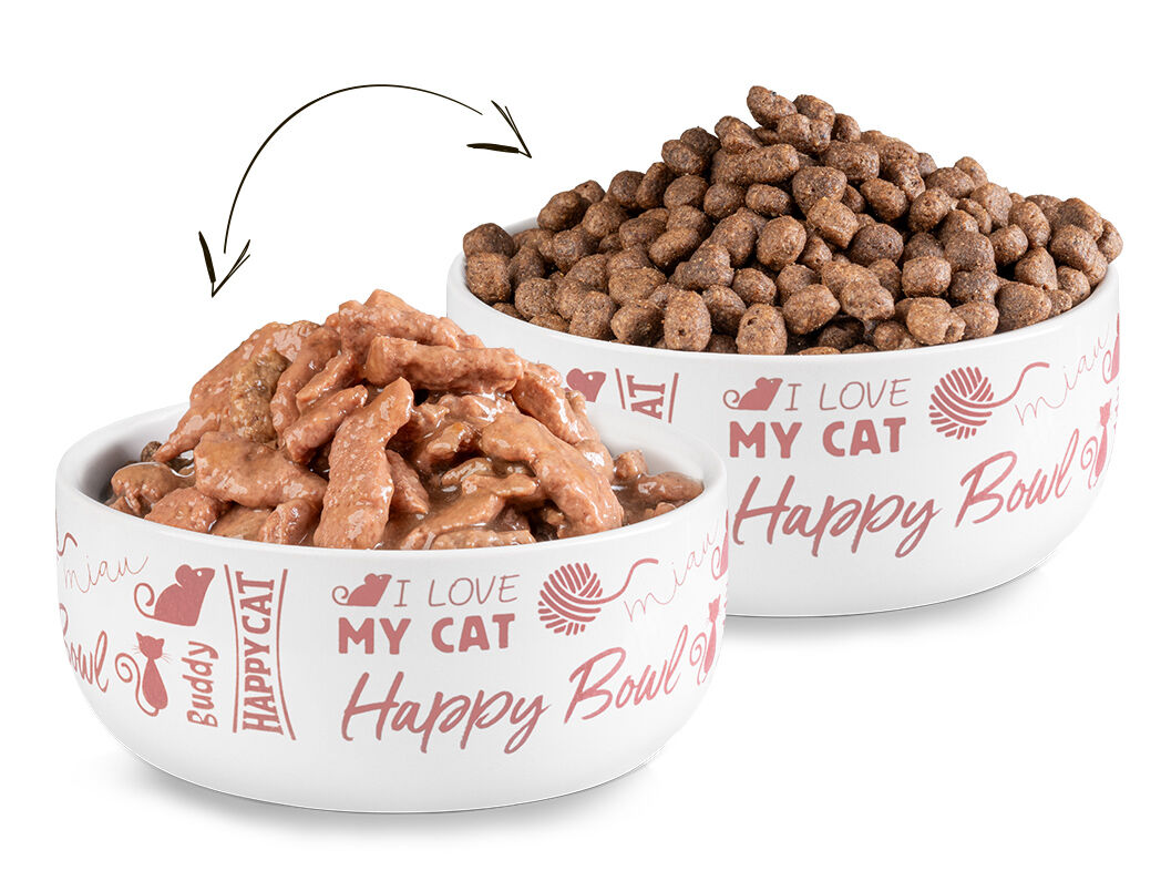 Zwei Katzenfutternäpfe: einmal mit Nassfutter und einmal mit Trockenfutter voll gefüllt