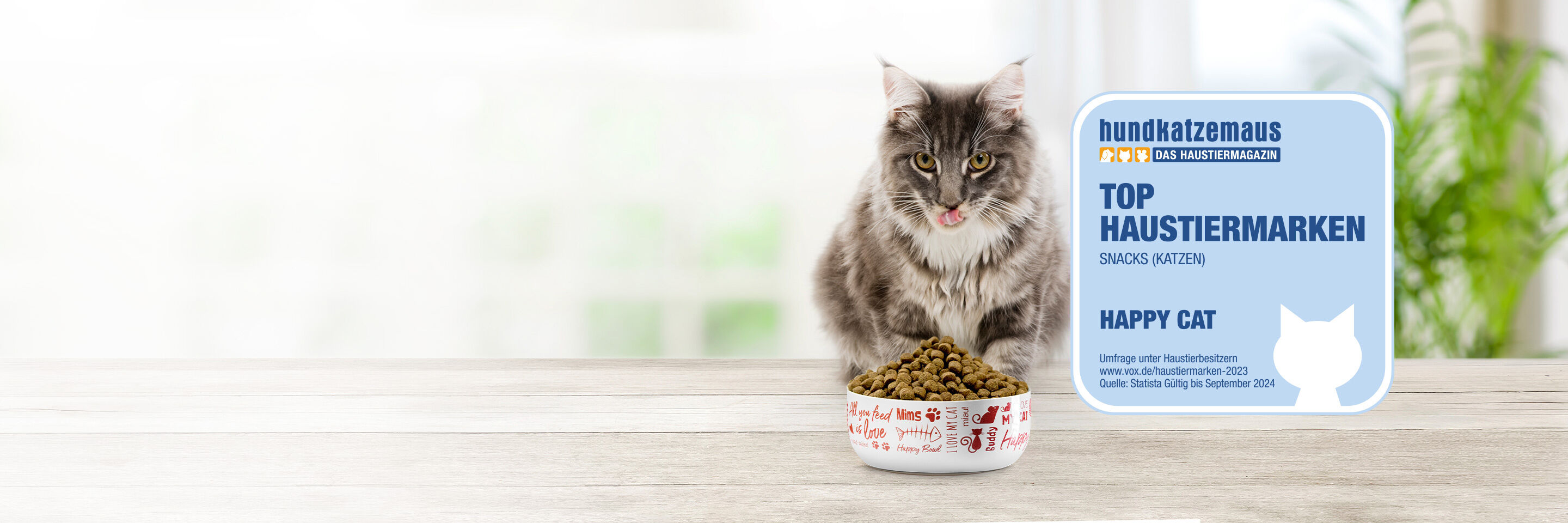Graue Katze sitzt vor vollem Trockenfutternapf