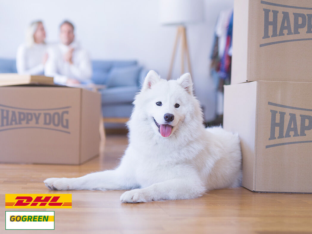 Ein Paar sitzt auf einem Sofa. Ihr Hund liegt auf dem Boden zwischen Happy Dog Versandkartons