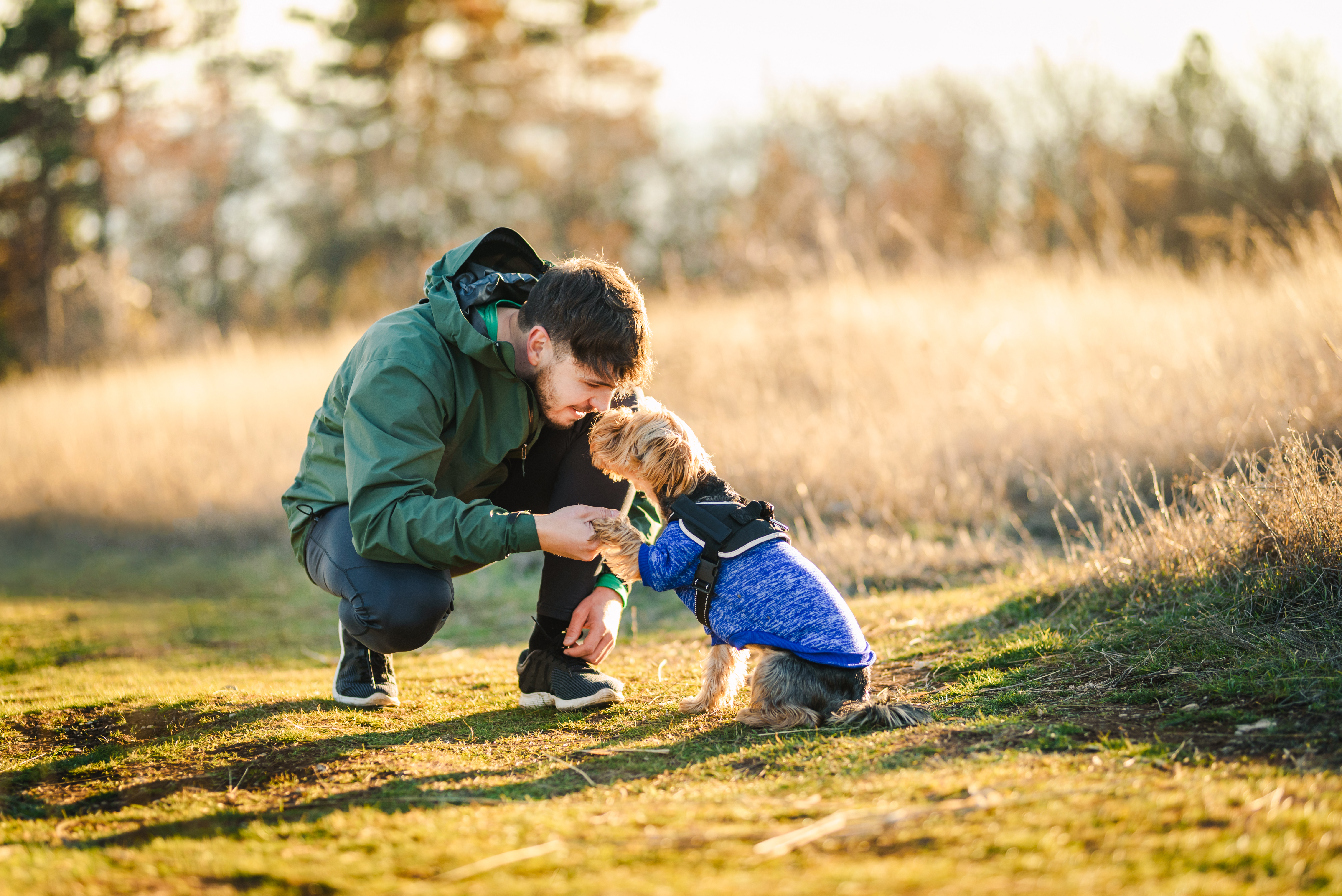 Ein kleiner Hund hat einen Hundemantel an und gibt auf einer Wiese sitzend einem Mann Pfötchen.