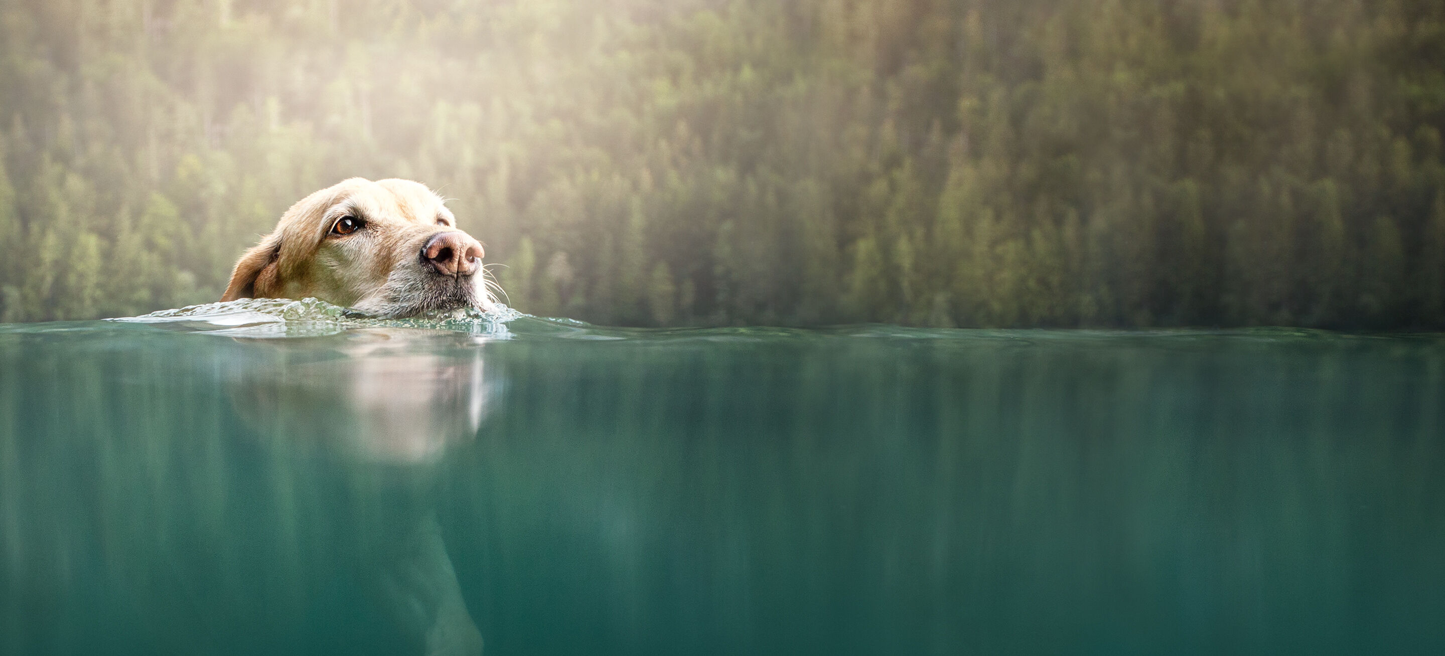 Füttern mit der Extraportion gutem Gewissen