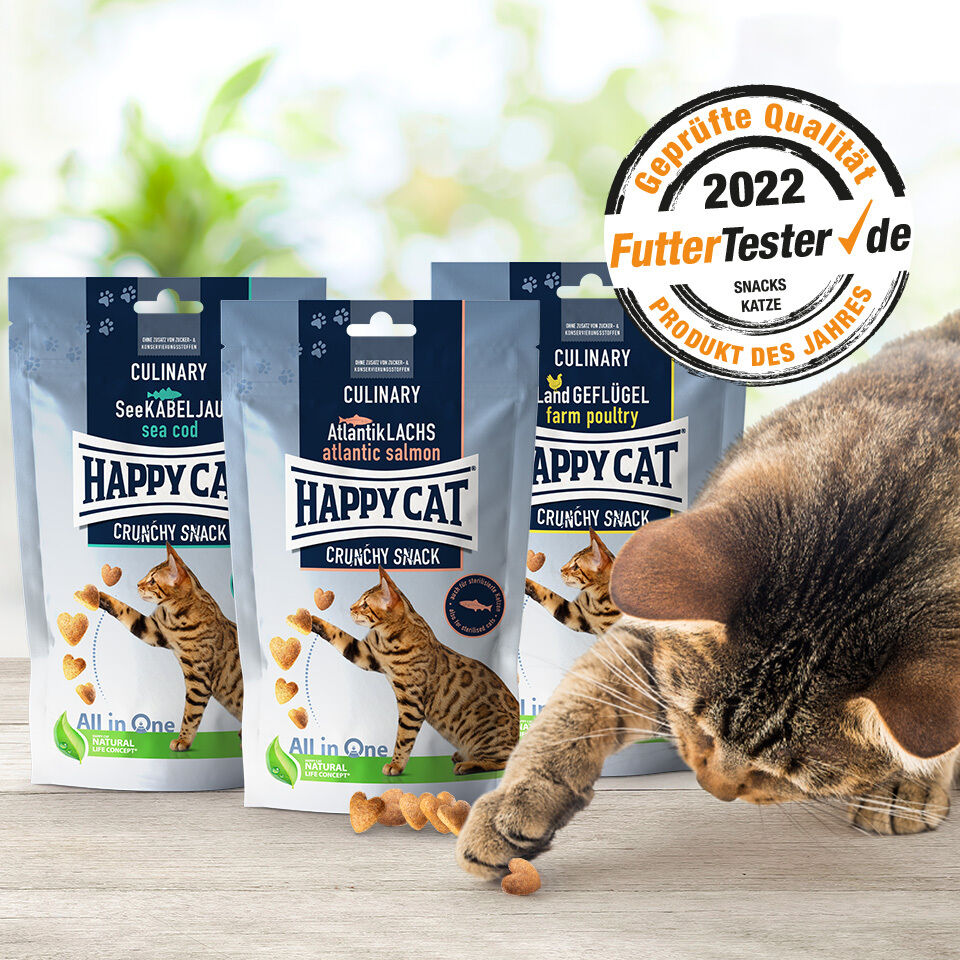 Eine Katze versucht einen Katzensnack zu greifen, welcher vor Happy Cat Snack Verpackungen liegt.