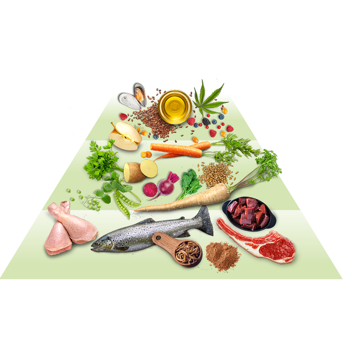 Eine Pyramide mit Fleisch, Fisch, Gemüse und Ölen wird dargestellt.