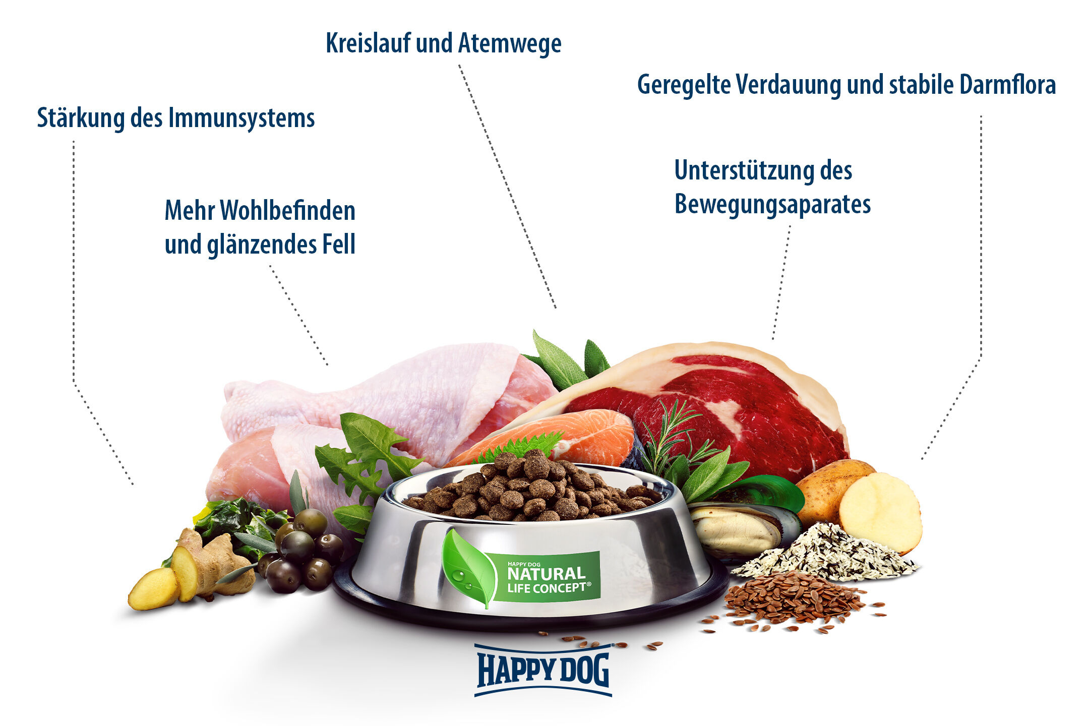 Ein Futternapf voller Trockenfutter, umgeben von Fleisch, Gemüse und Kräutern. Text hebt gesundheitliche Vorteile wie Verdauung und Immunsystem hervor. Happydog-Logo sichtbar.