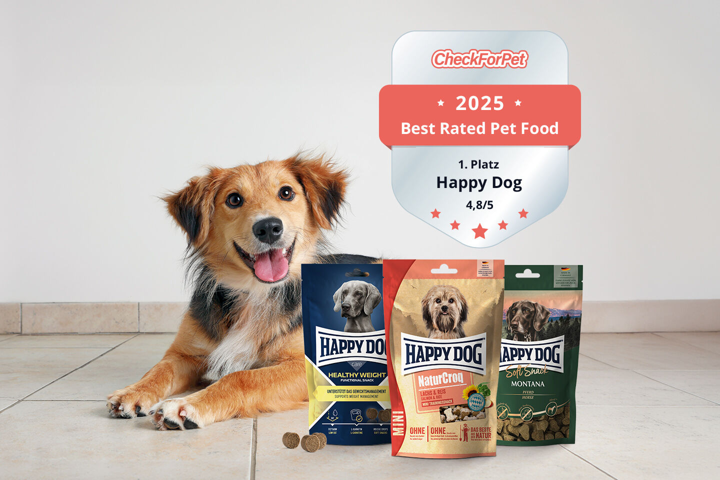 Ein Hund freut sich über drei Packungen Leckerlis