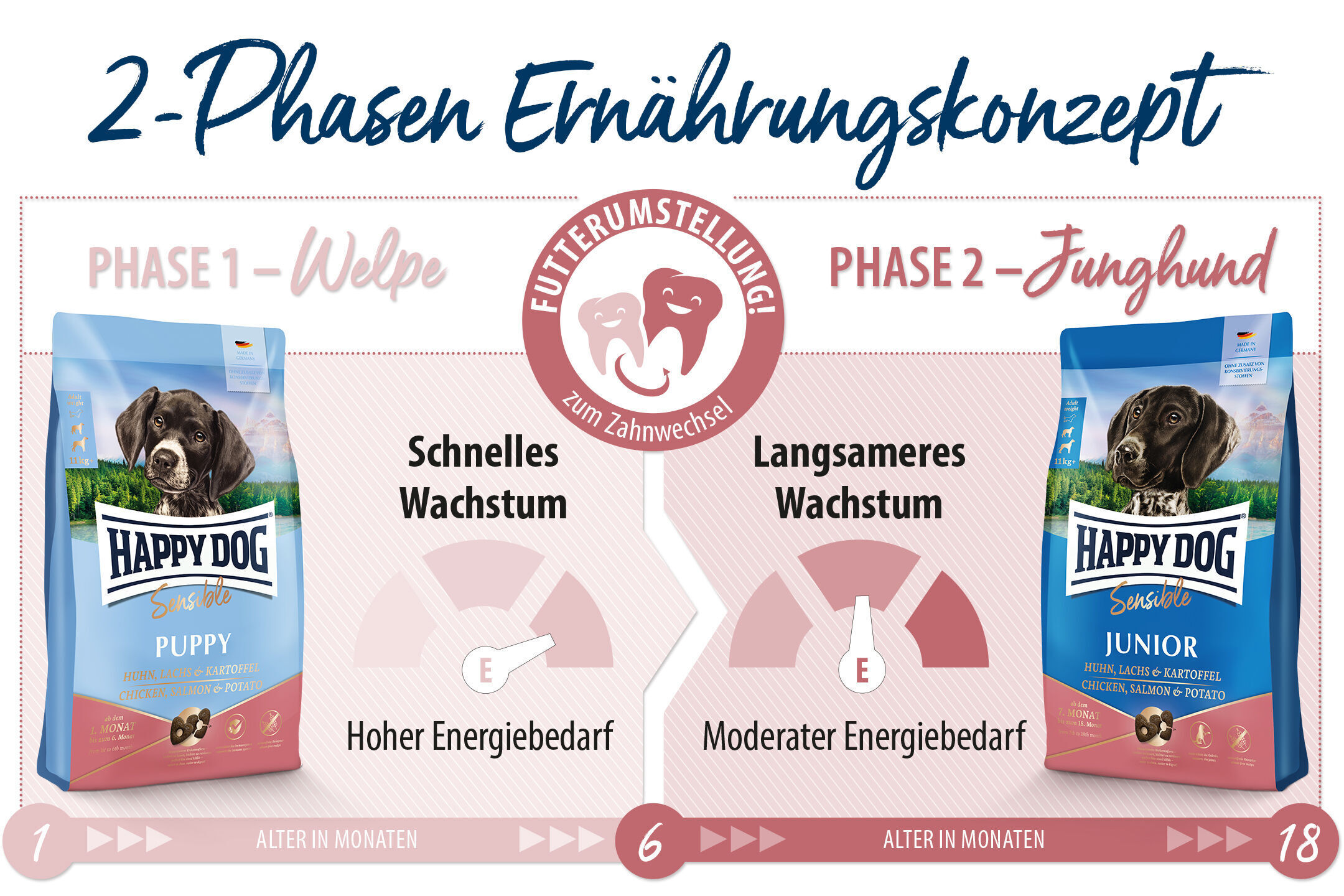 Verpackung von Happydog-Hundefutter zeigt 2-Phasen-Ernährungskonzept: Phase 1 für Welpen, Phase 2 für Junghunde. Text beschreibt Futterumstellung zum Zahnwechsel und Energiebereiche.