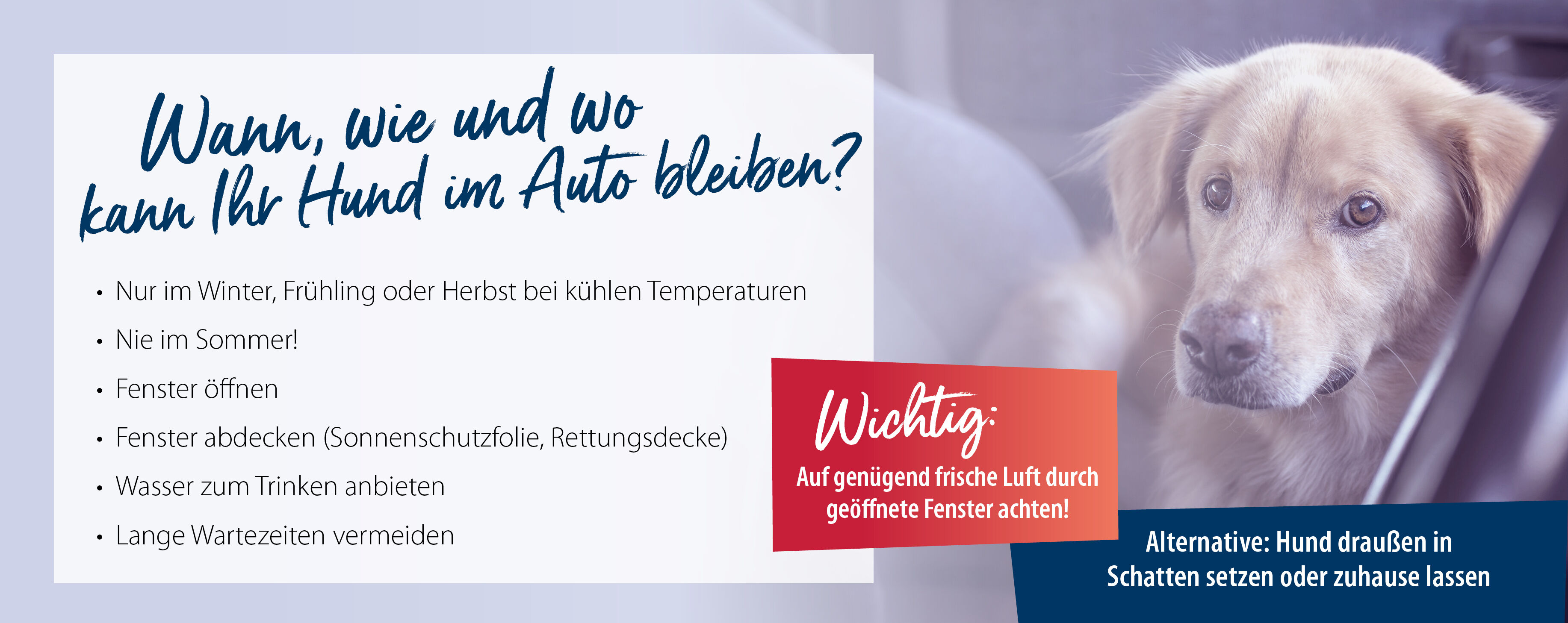Liste an Punkten, wann man seinen Hund im Auto lassen kann.