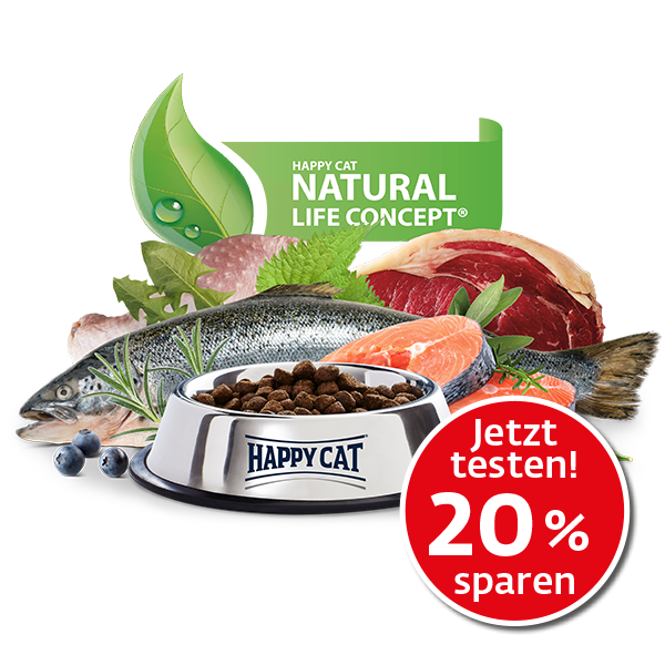 Frischer Fisch und frisches Fleisch liegen als Zutaten für Katzenfutter hinter einem Napf