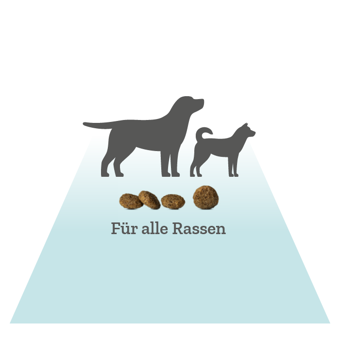 Pyramide mit Hunden, Leckerlis und dem Schriftzug für alle Rassen wird dargestellt.